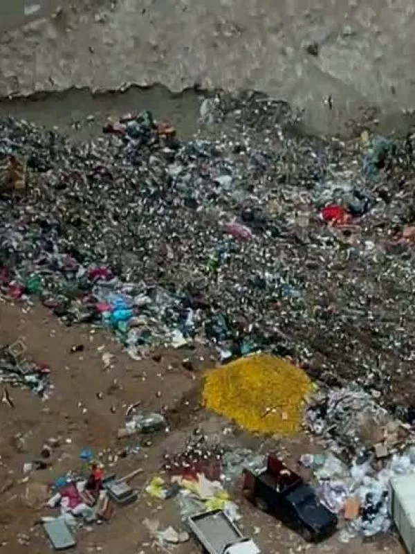 Crisis en la basura