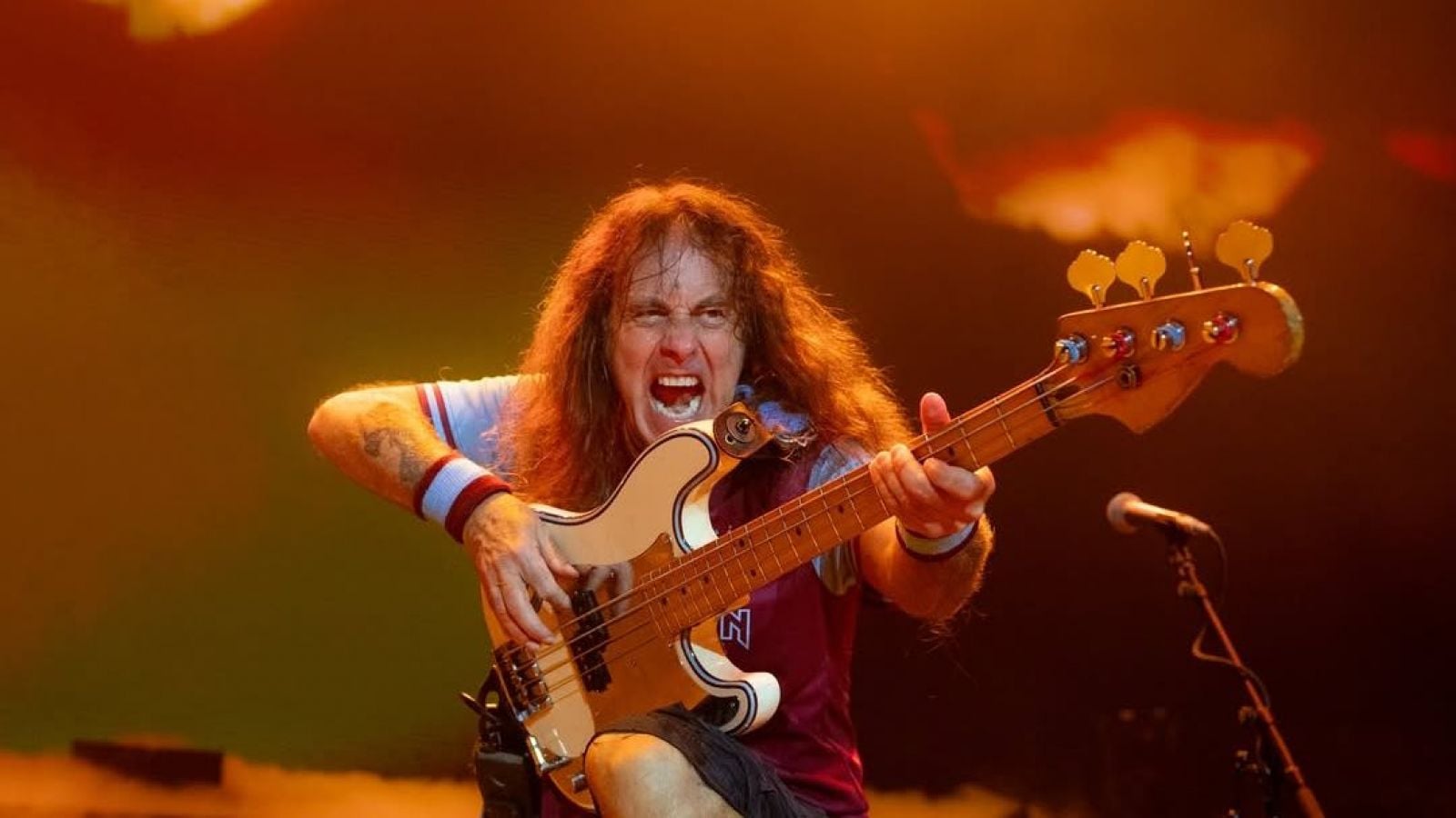 Steve Harris de Iron Maiden