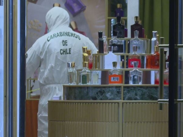 Carabineros al interior de perfumería robada.