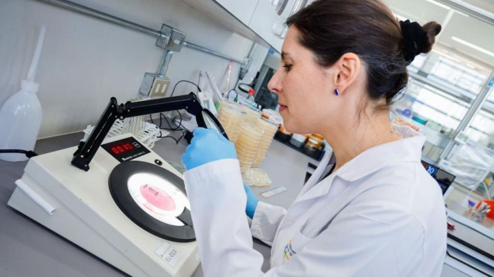 Dra. Claudia Foerster