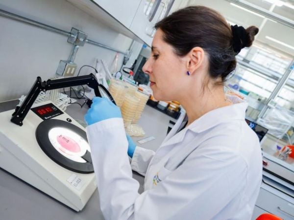 Dra. Claudia Foerster