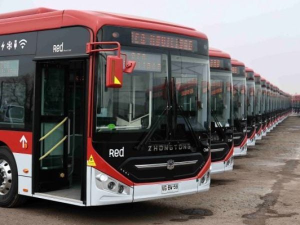 Buses Red de transporte público