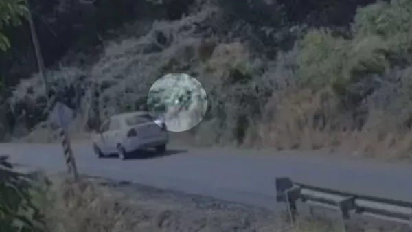 Video muestra a bombero iniciando incendio forestal en La Cruz