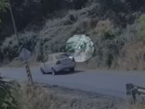 Video muestra a bombero iniciando incendio forestal en La Cruz