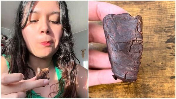 Joven prueba barra de proteína en base a insectos