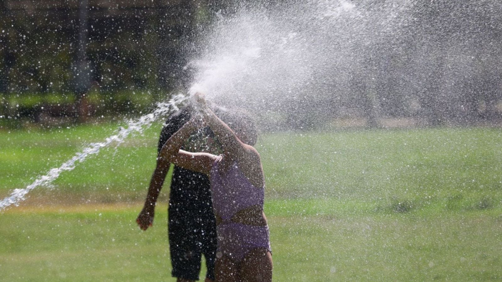 calor regiones alerta