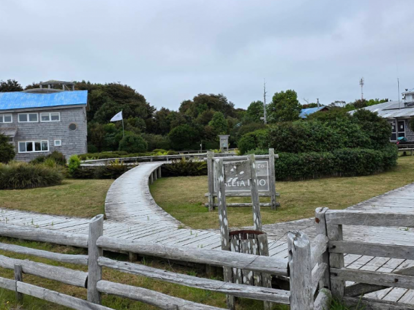 Vecinos no podrán votar en Caleta Inío