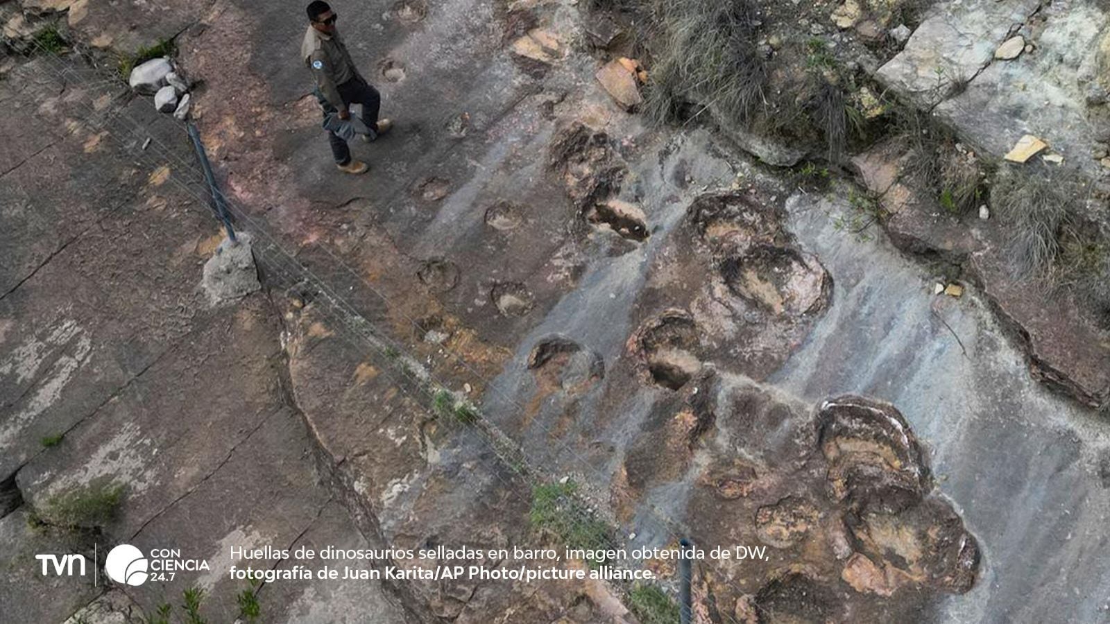 Huellas fósiles de dinosaurios terópodos en el Parque Nacional Toro Toro, Bolivia.