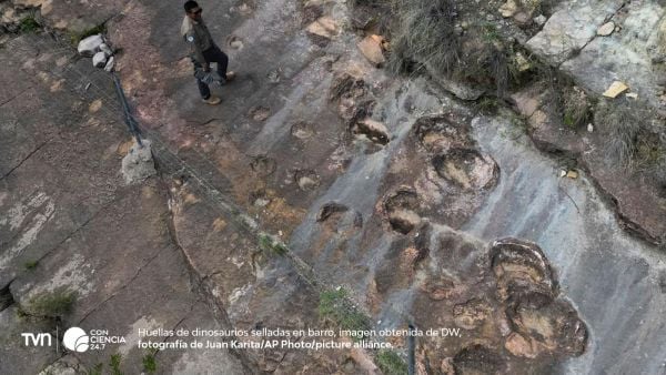 Huellas fósiles de dinosaurios terópodos en el Parque Nacional Toro Toro, Bolivia.