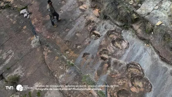 Huellas fósiles de dinosaurios terópodos en el Parque Nacional Toro Toro, Bolivia.