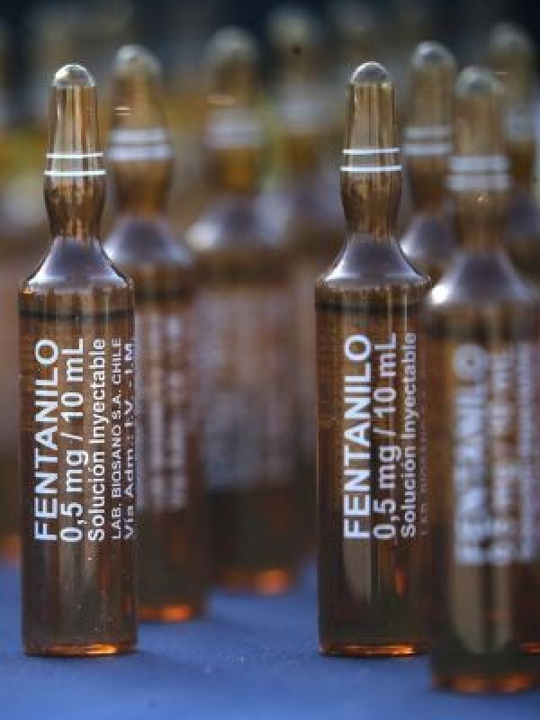 Argentina pide extradición de criminal chileno que importaba fentanilo y ketamina desde Paraguay
