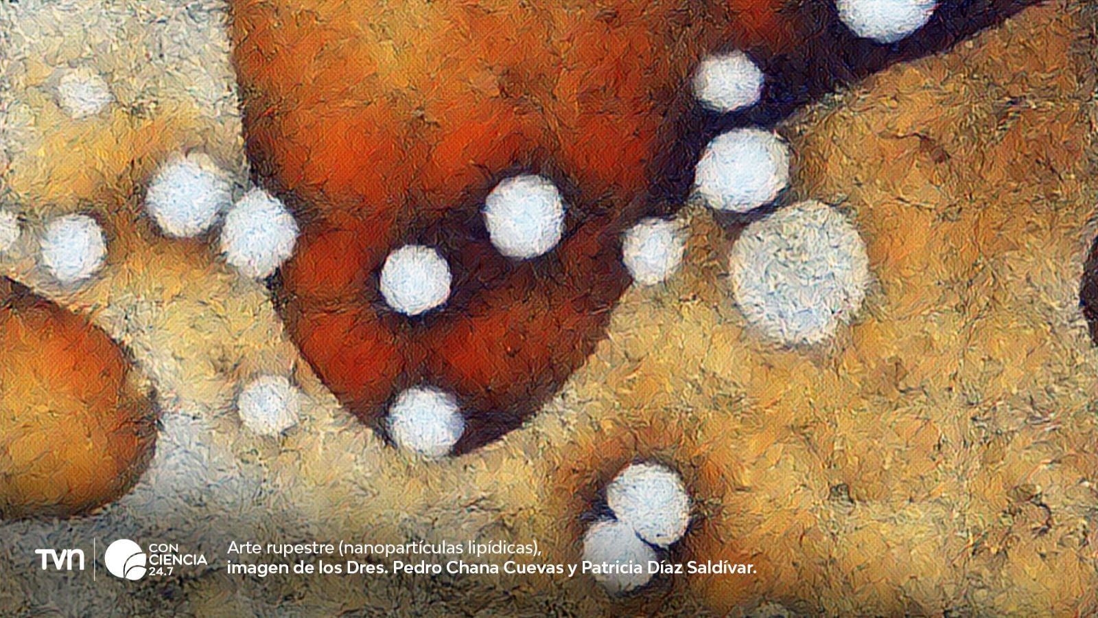 Imagen científica del Concurso Imágenes CEDENNA 2025 que revela estructuras del nanomundo obtenidas mediante microscopía avanzada.