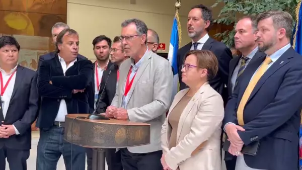 Cristián Campos proyecto denuncias falsas