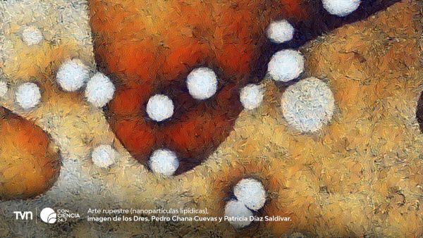 Imagen científica del Concurso Imágenes CEDENNA 2025 que revela estructuras del nanomundo obtenidas mediante microscopía avanzada.