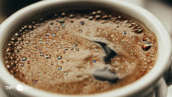 Demasiado café podría afectar la salud ósea en mujeres mayores.