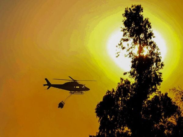 Más de mil hectáreas afectadas en San Pedro