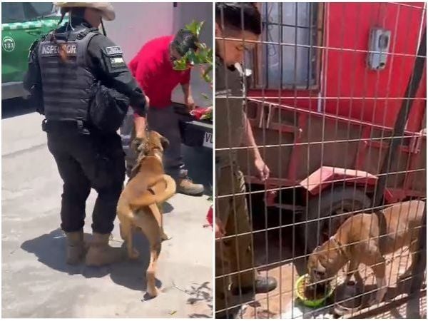 Emotivo rescate de perro en La Serena
