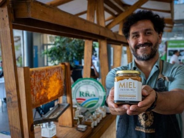 Certificación para la miel en O'Higgins