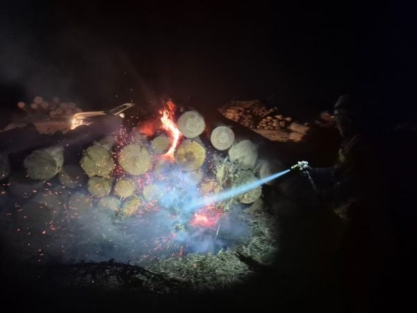 Robo de madera en Coronel