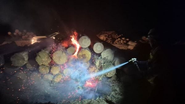 Robo de madera en Coronel