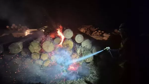 Robo de madera en Coronel