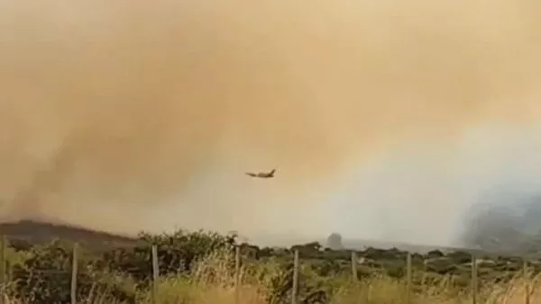 Devastador incendio en Zapallar