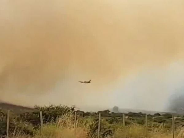 Devastador incendio en Zapallar