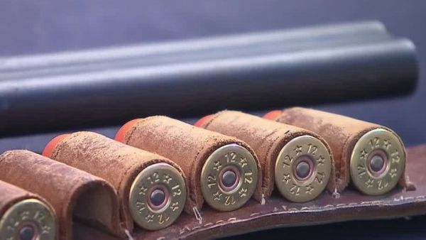 Cae parte de organización criminal dedicada al tráfico de drogas