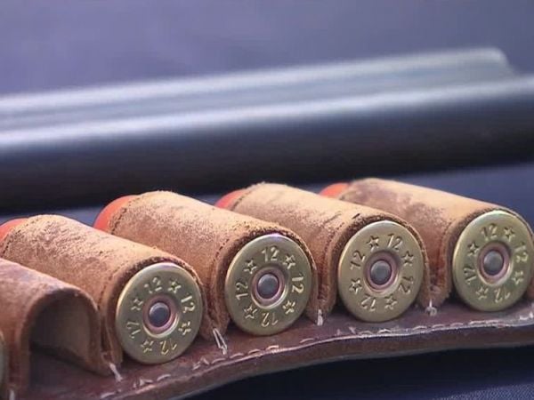 Cae parte de organización criminal dedicada al tráfico de drogas