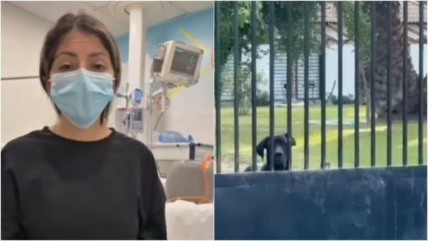 Menor de edad atacada por perros