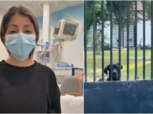 Menor de edad atacada por perros