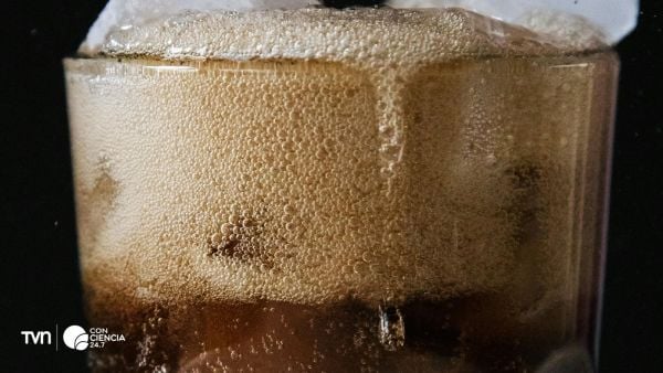Bebida azucarada con fructosa asociada a aumento de inflamación del sistema inmune según estudio científico.