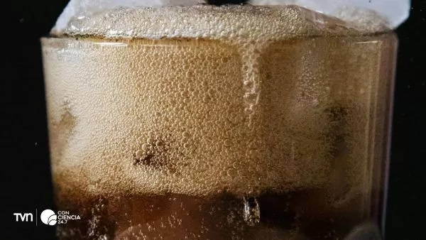 Bebida azucarada con fructosa asociada a aumento de inflamación del sistema inmune según estudio científico.