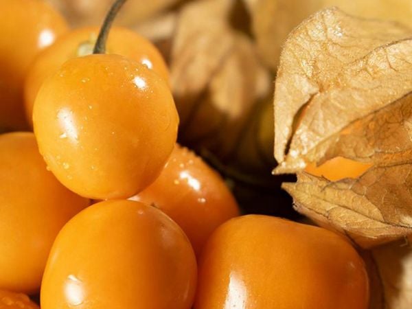 Fotografía de golden berrys.