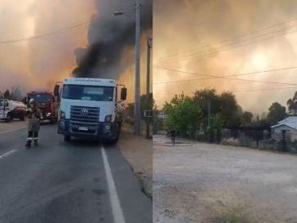 Incendio en Litueche activa alerta roja y evacuación