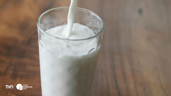 Vaso lleno de leche.