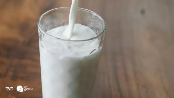 Vaso lleno de leche.