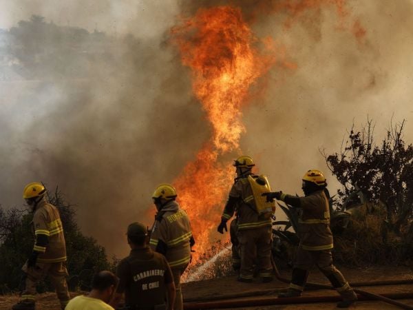 Incendio forestal Maule