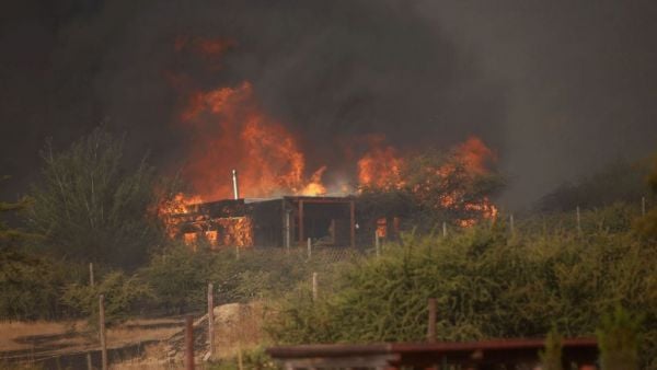Incendio en Maule