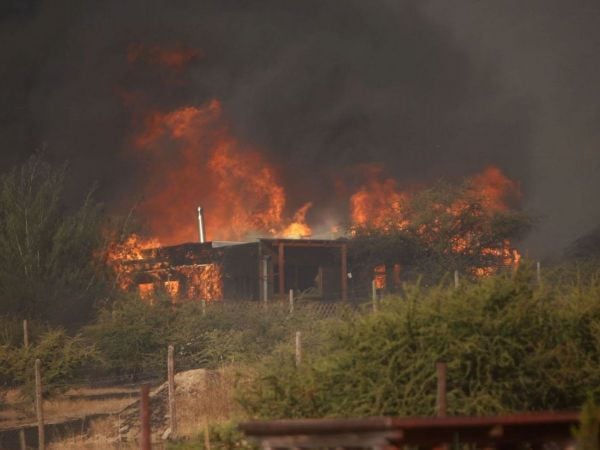 Incendio en Maule