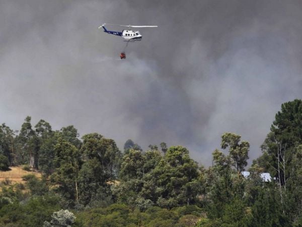 Incendio forestal. Foto referencial.