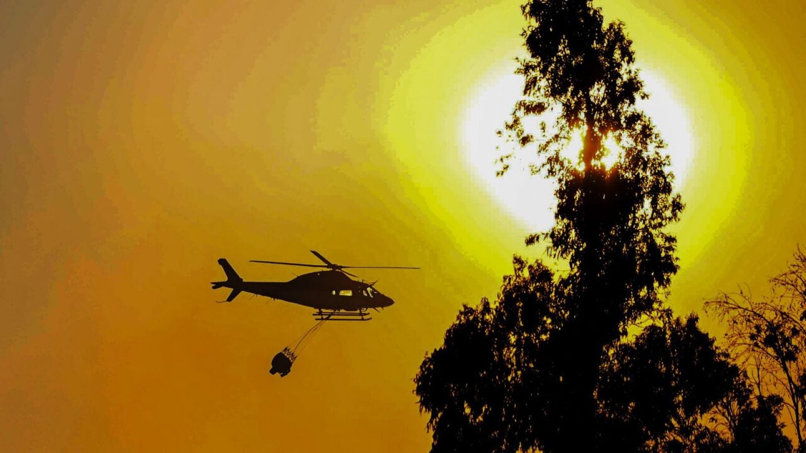 Referencial incendio