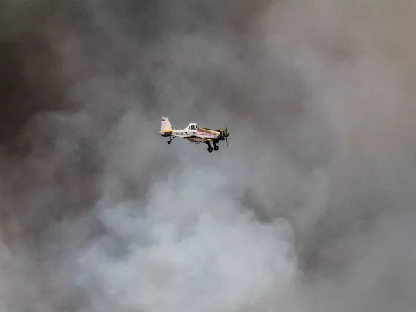 Se declara Alerta Roja para Nueva Imperial por incendio forestal
