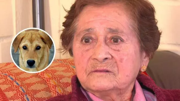 Adulta mayor denunció perro de su vecina por ladrar mucho