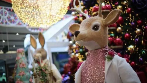 Lo que debes saber sobre el ticket de cambio en Navidad, según Sernac