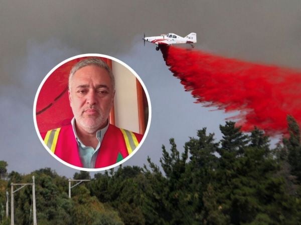 Rodrigo Illesca, director ejecutivo de Conaf.