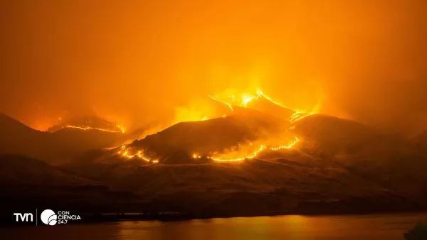 Humo denso de incendio forestal elevándose sobre un paisaje natural y afectando la calidad del aire.