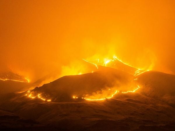 Humo denso de incendio forestal elevándose sobre un paisaje natural y afectando la calidad del aire.