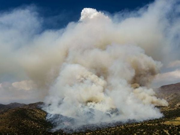 Incendio en San Carlos de Apoquindo: Los videos del despliegue de Bomberos y Conaf