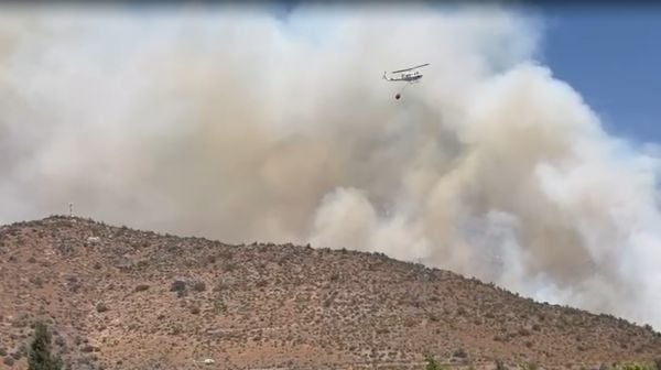 Incendio forestal en San Carlos de Apoquindo moviliza a varias compañías de Bomberos
